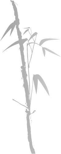 Bamboo image